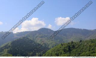 background nature forest 0004